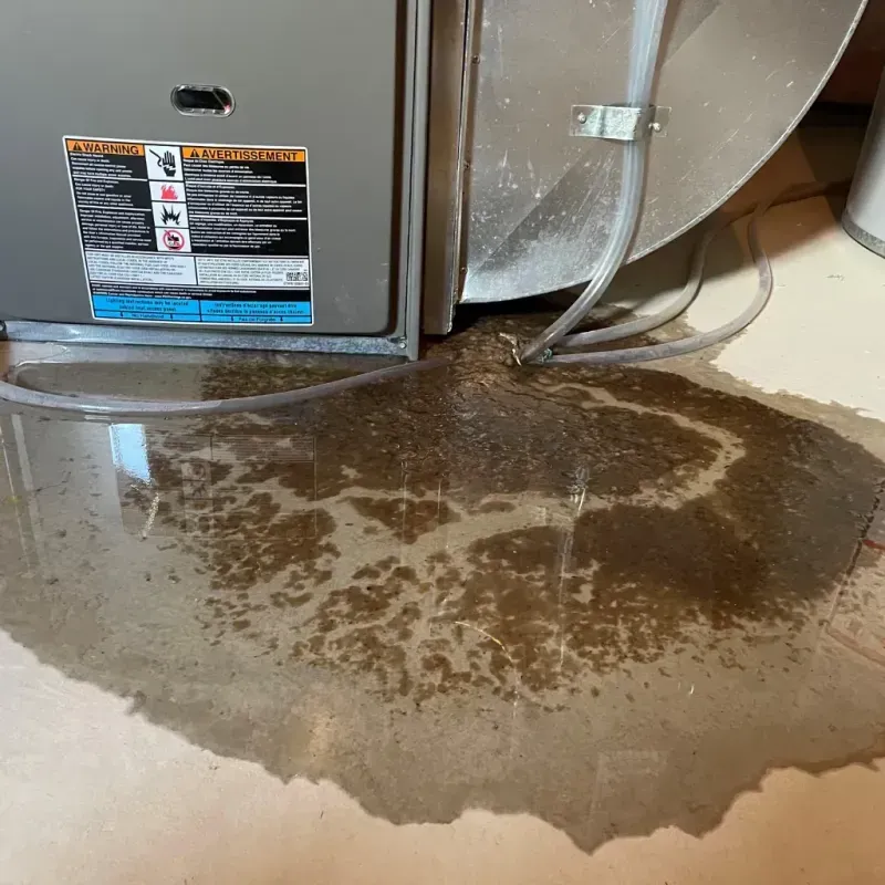 Appliance Leak Cleanup in Warren, MI